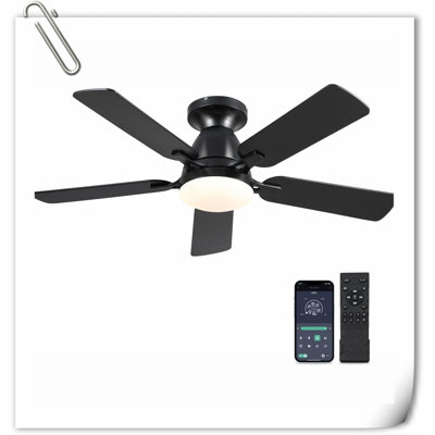 Museau Ceiling Fan with LED Lights