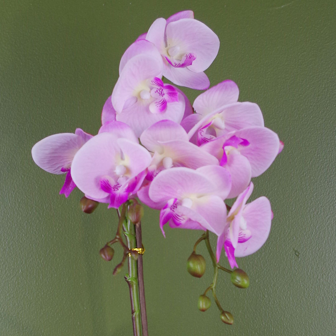 Plastic, Silk Artificial Arrangement in Pot
