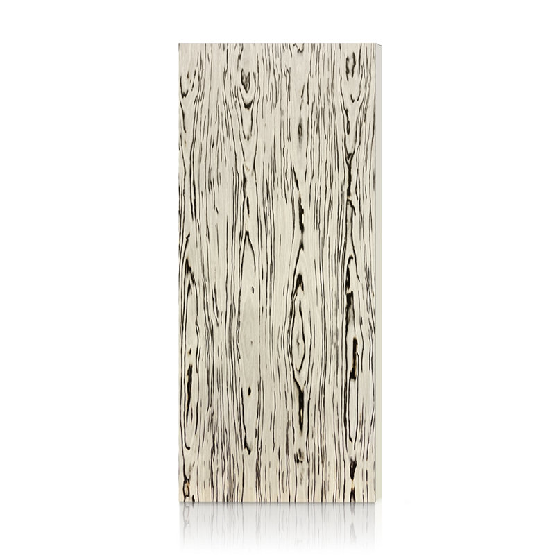 Dalle de porte intérieure blanche et brune en placage à noyau creux lisse, 36 po x 84 po