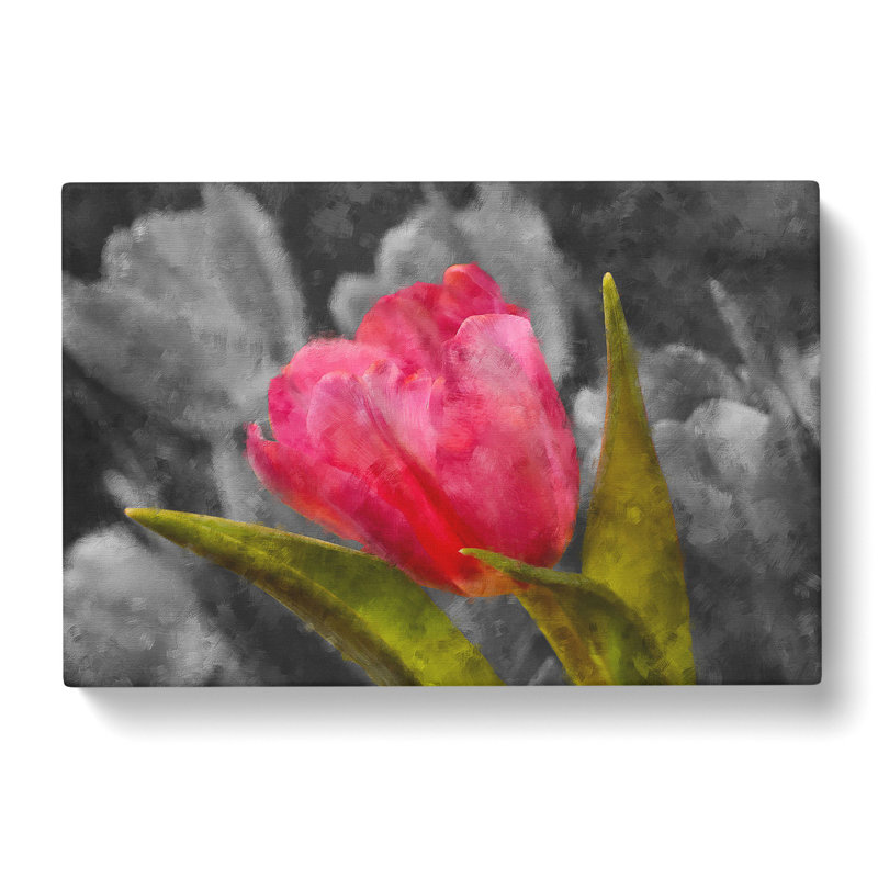 Pink Tulip Flower - Wrapped Canvas, 50cm H x 76cm W x 3cm D