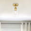 Zarine Glass Semi Flush Mount-346792361