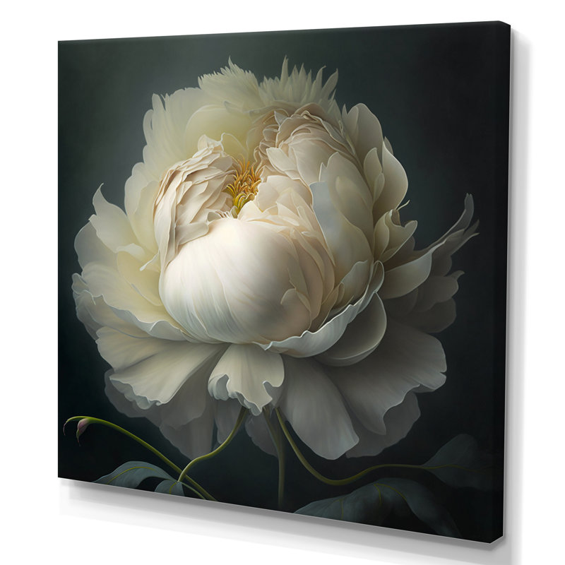 White Blossoming Peony On Black I - Peony Wall Art, 24" H x 24" W, Wrapped Canvas, No Frame