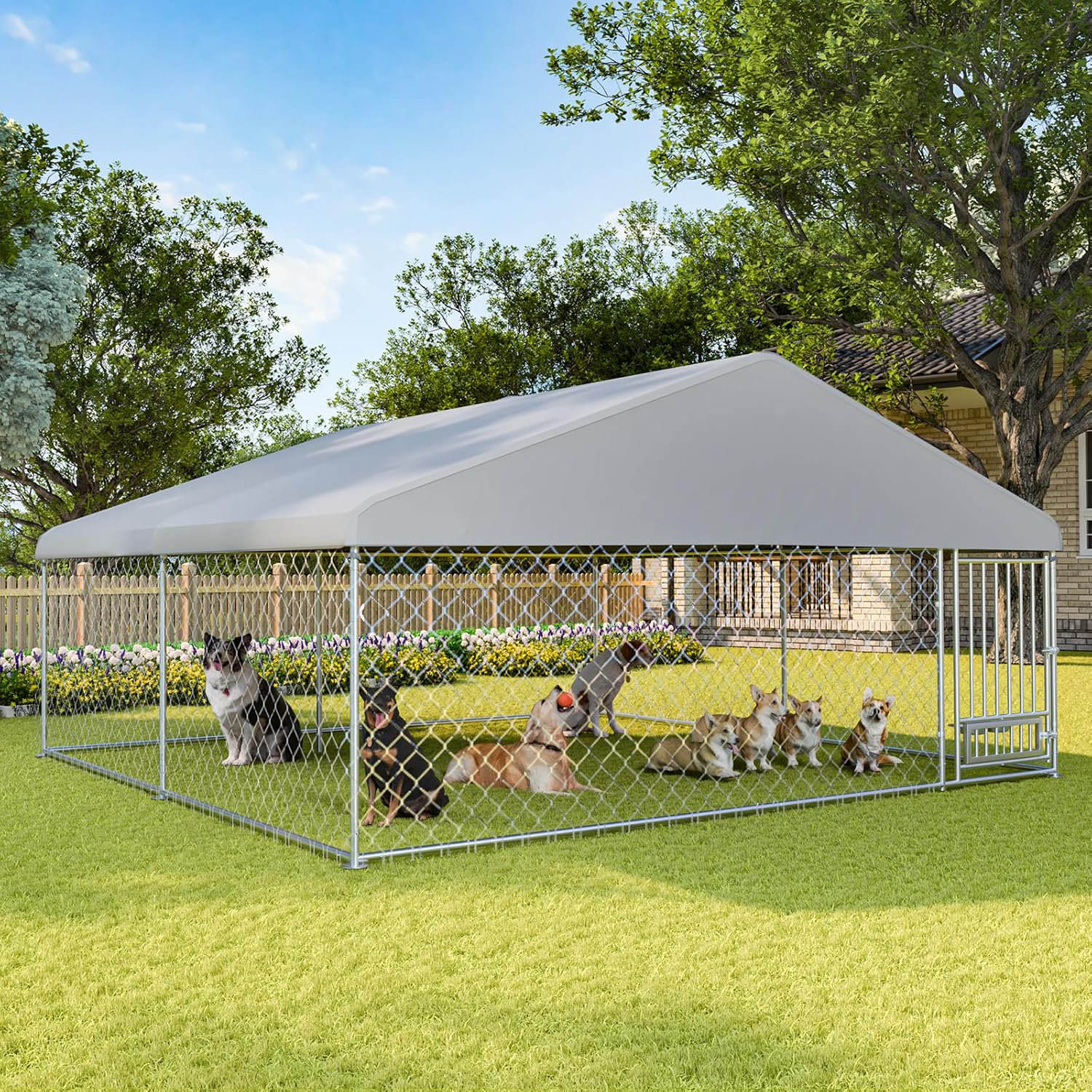 DSNAPE 13' X 13' Outdoor Dog Kennel With Roof – Large Dog Enclosure