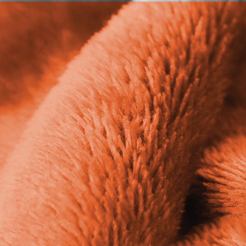 Ultra Soft Sherpa Throw Blanket – Plush Fleece, Warm & Cosy, 130" W x 150" L, Orange
