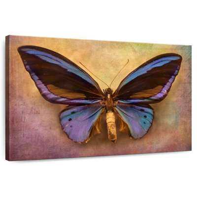 Brampt Purple Butterfly