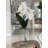 Orchid Arrangement in Vase