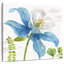Jardin Harnek bleu et vert II-109209714