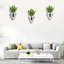Décoration murale Boho (eucalyptus)
