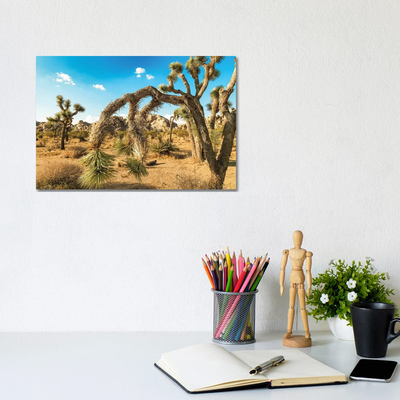 Joshua Tree National Park by Mark Paulda - Wrapped Canvas Print, 20.32cm H x 30.48cm W x 1.91cm D