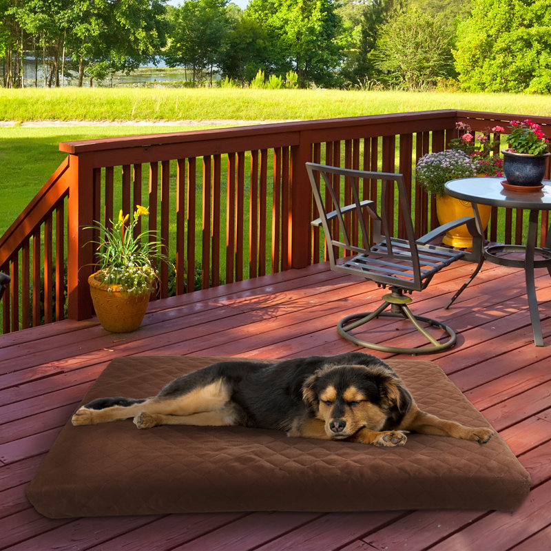 Lit imperméable pour chien avec housse amovible lavable à la machine Kasper Petmaker Kasper, L 44 po x P 35 po x H 3,5 po