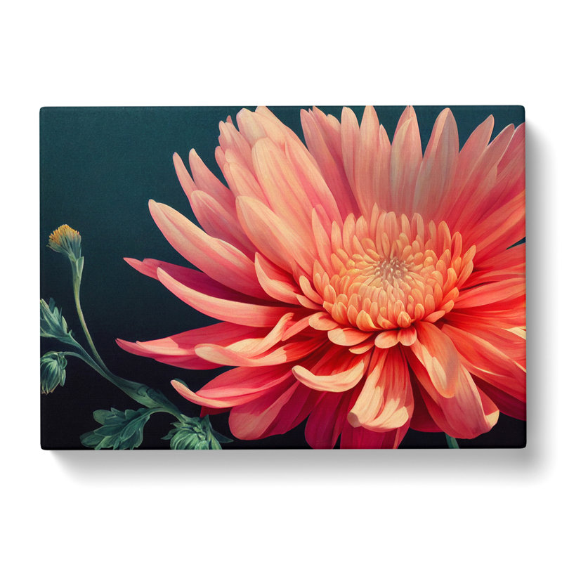 Timeless Chrysanthemum Flower - Wrapped Canvas, 35cm H x 50cm W x 3cm D