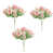 Rose est en rupture de stock