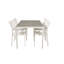 Hiran 4 - Person Patio Dining Set Rectangular Table
