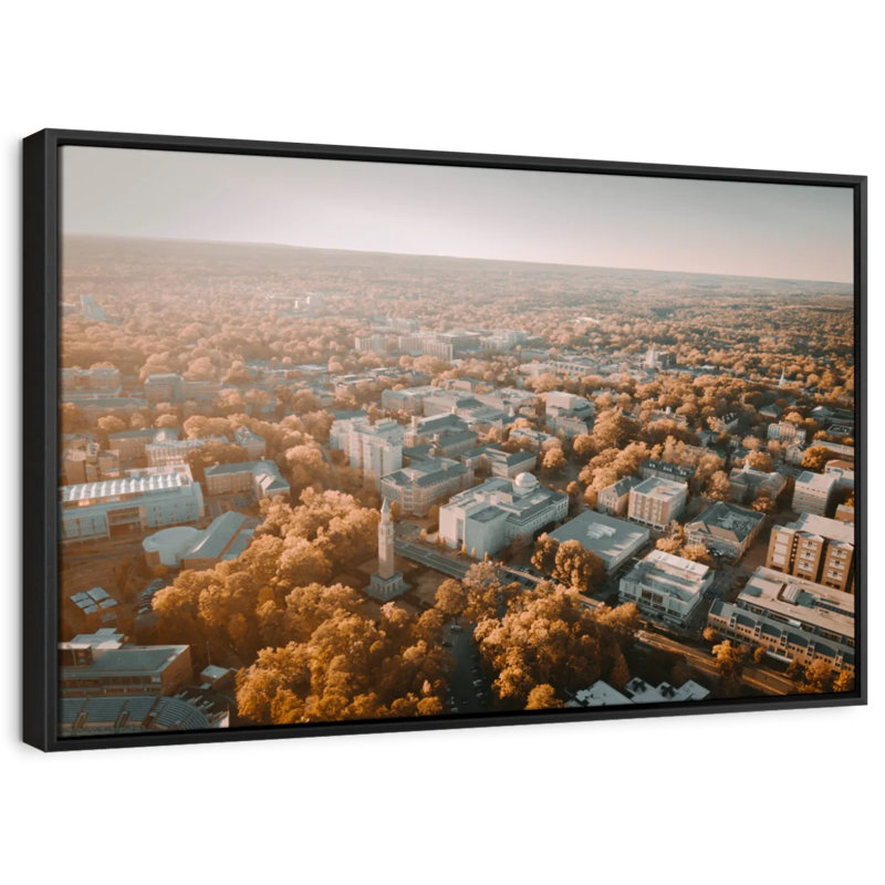 " UNC Campus Aerial View ", 25" H x 37" W