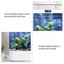 Aquarium en verre 70,87 po-129894170-129894172