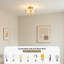 Semi-Flush Mount Ceiling Light - Mid-Century Modern Style-126324105
