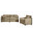 Modern 2/ Piece Sofa Set