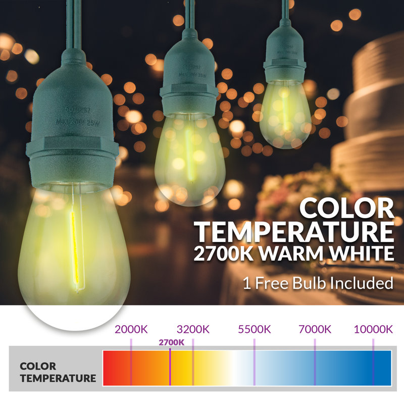 Guirlande d'extérieur à 15 ampoules à brancher 576 po - Basics by Wayfair ™, Vert