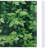 Ellisa Green Vinyl Yard/Privacy Fence-752905111
