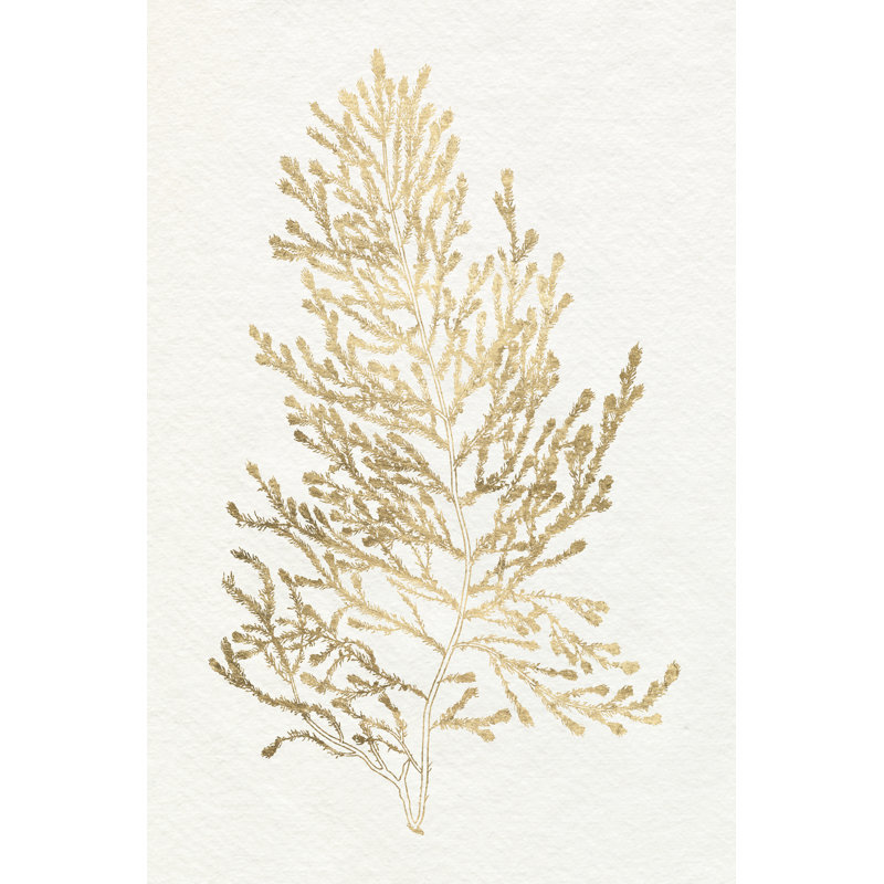 Gilded Algae IV -  Art Prints, 122 cm H x 81 cm W, Black Floater Framed