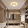 Mataponi 2-Light 27cm LED Flush Mount Ceiling Light