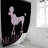 Dominico Shower Curtain-869322048