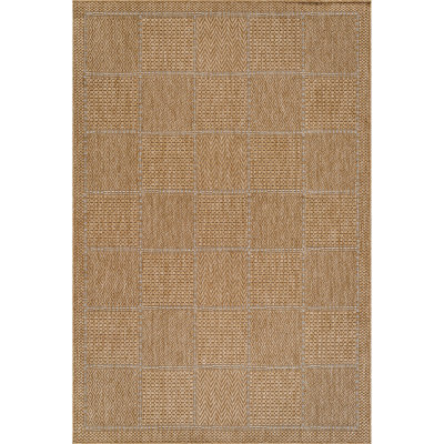 Indoor Outdoor Area Rug