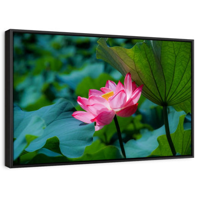 " Wild Lotus Flower "