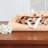 Microfiber Sheet Set-427045209-427045163
