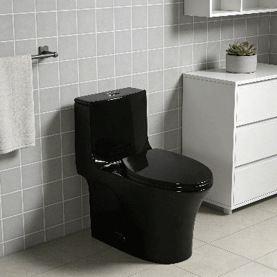 1.1/1.6 GPF Dual-Flush Elongated One-Piece Toilet with 16.34 in | Siphon Jet