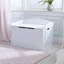 Austin Toy Box-14682937