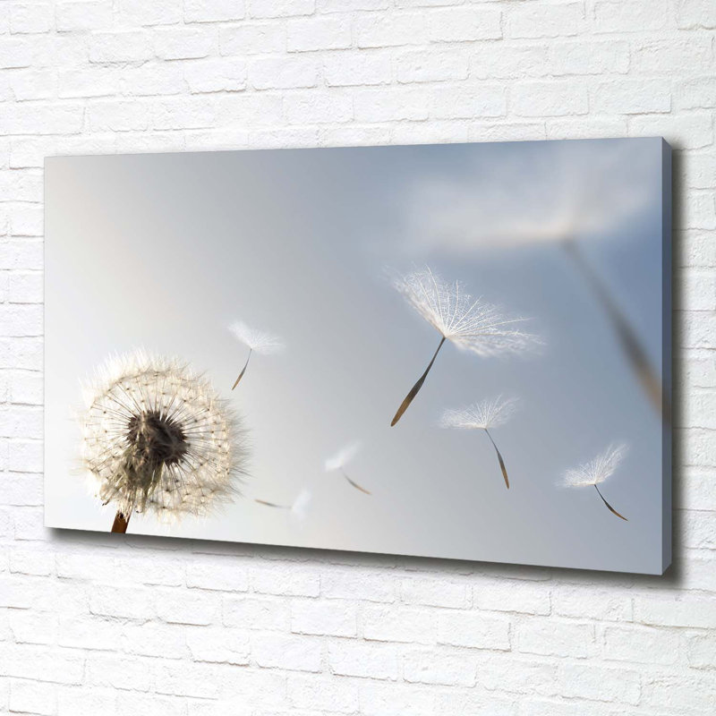 Dandelion - Wrapped Canvas Print