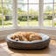 Corduroy Pet Bed-1577419901