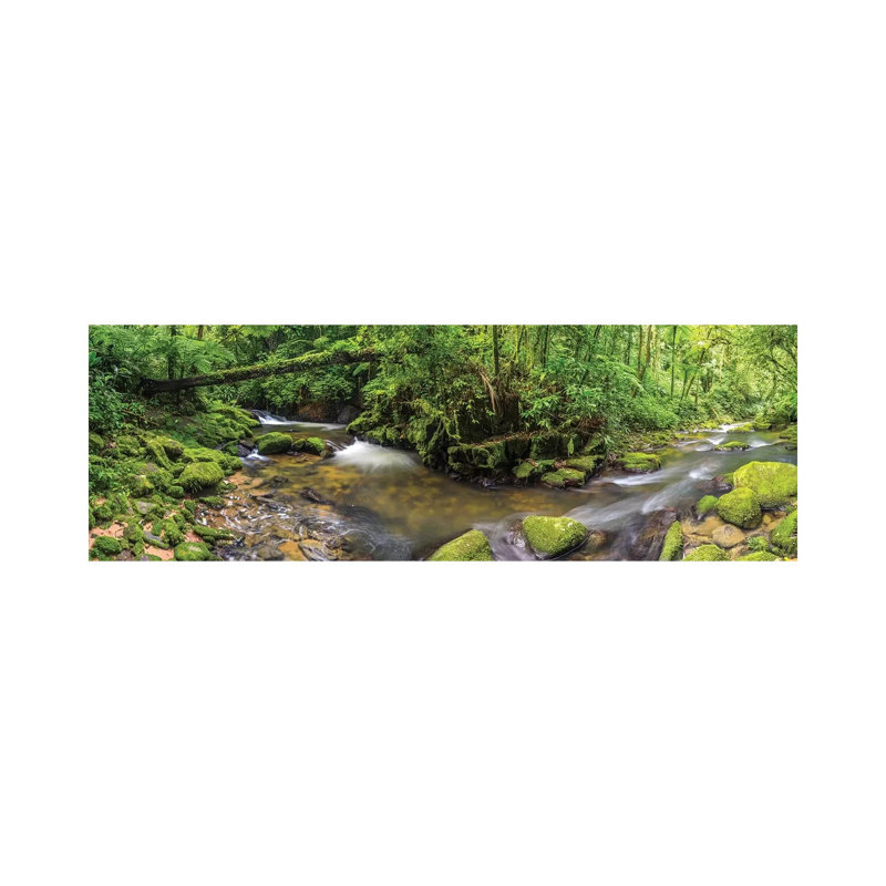Jungle Panorama I by Glauco Meneghelli - Print on Canvas, 30.48 cm H x 91.44 cm W x 1.91 cm D, Wrapped Canvas