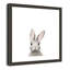 Art encadré en lapins forestières-48169567-48188935