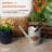 Hankinson Metal Statue Planter
