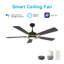 Ventilateur de plafond intelligent de 52 pouces avec télécommande Appleton, ensemble d'éclairage inclus, fonctionne avec l'assistant Google, Amazon Alexa et les raccourcis Siri.-2023744147-2023744144-2023744156