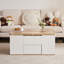 Lift Top Coffee Table with Storage-173675069