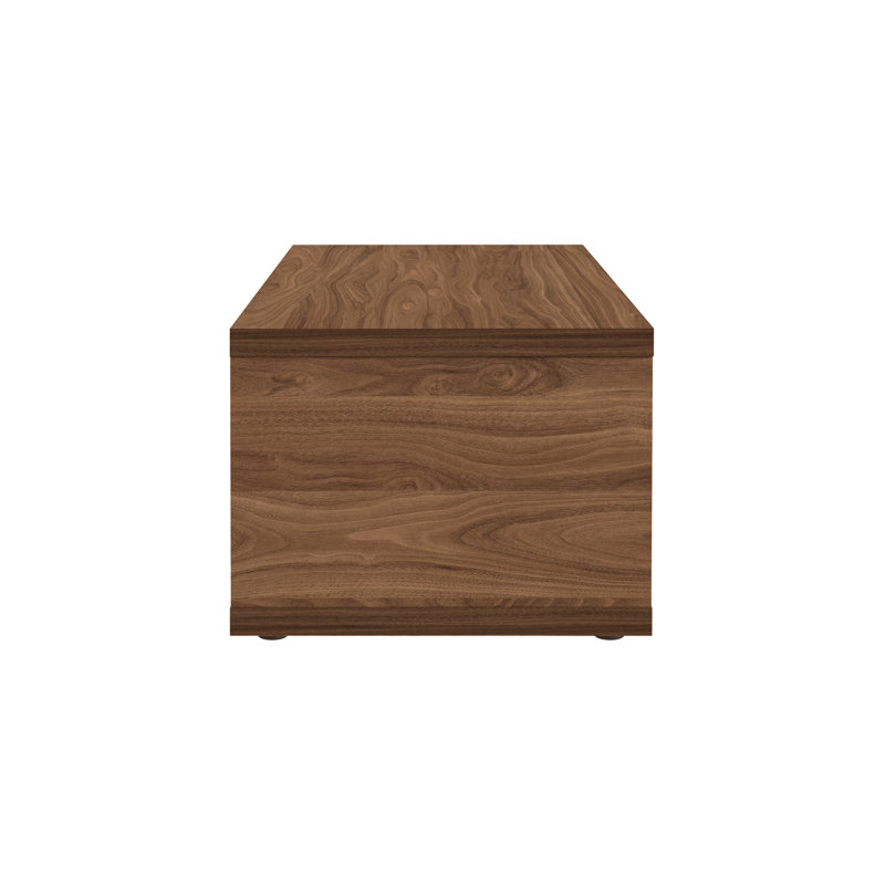 Berlin Floor Shelf Coffee Table with Storage, Walnut Top/Pure Black Base