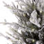 180cm H Lighted Artificial Spruce Christmas Tree