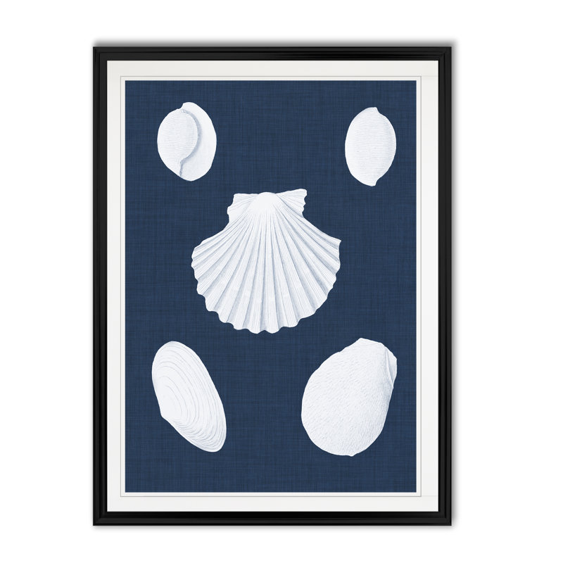 « coquillages blancs iii », reproduction sur toile, H 22,5 po x l 30,5 po x P 1,5 po, Noir