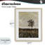 «Yesterays Gone» par Print encadré sous verre, design par Soulspeak & Sawdust-114250243-114250245