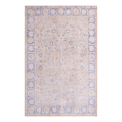 Sixtine Chenille Oriental Indoor Rug