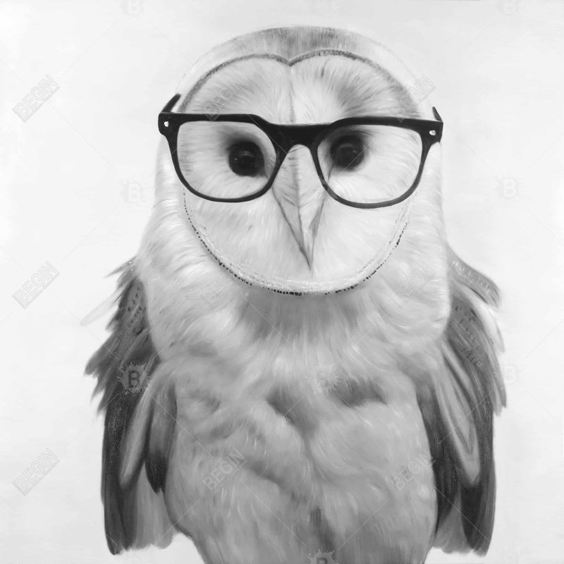 Realistic barn owl with glasses - 18"x18" Throw pillow cover - Poly twill - Print on demand