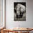Brampt White African Rhinoceros-108501268