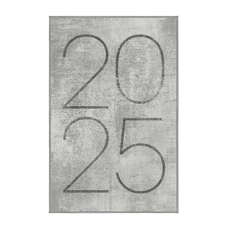 Soft Plush Esquer New Years Modern & Contemporary Abstract Area Rug in Gray – Gray Binding, 3x5