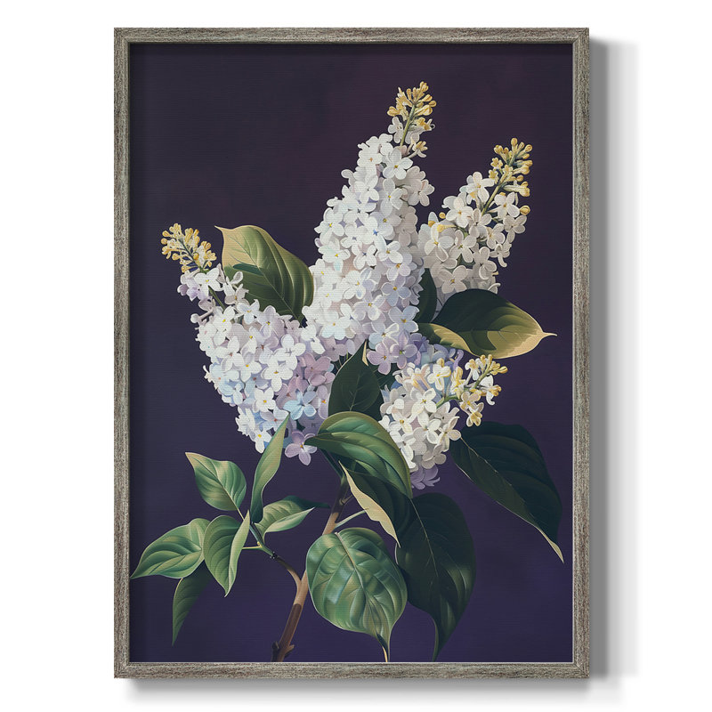 Reproduction encadrée FLORAL Series CCXLV - bois massif, H 11 po x l 9 po