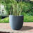 Karola Pot Planter-1210281162-1210281156
