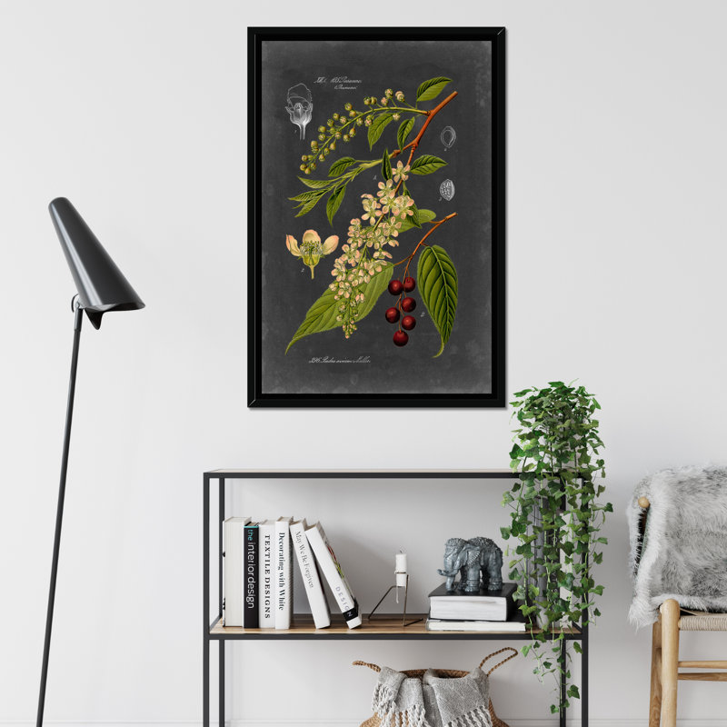 Midnight Botanical II by Vision Studio - Print, 50cm H x 34cm W, Black Framed Paper Print