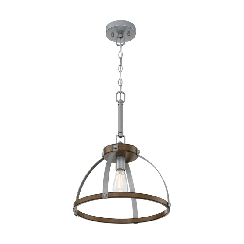 Fithian 1 - Light Caged Pendant